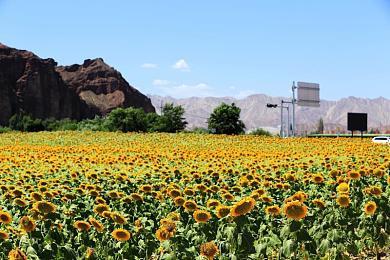 《燕云十六声》自由度高 偷师机制让你学遍天下武功