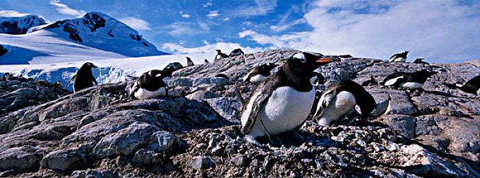 《上古卷轴ol》官方宣布 游戏玩家突破2100万